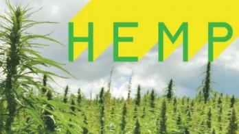 hemp