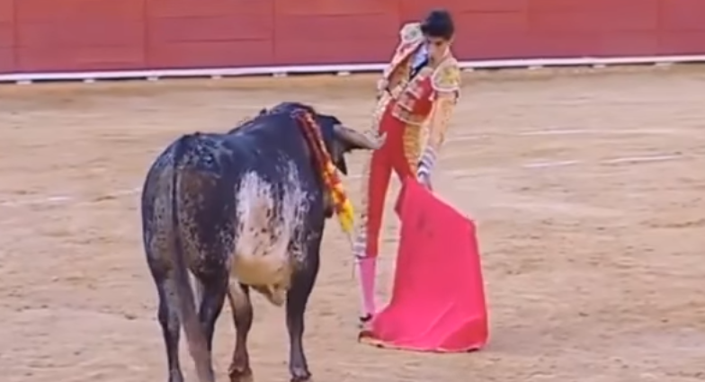 Image: Spanish Matador Gored To Death By Bull On Live TV (GRAPHIC VIDEO)