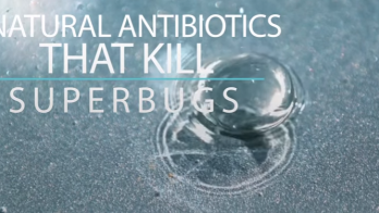 5 natural antibiotics