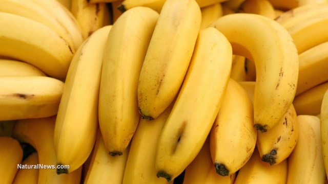 Image: The Terrifying Truth About Bananas (Video)