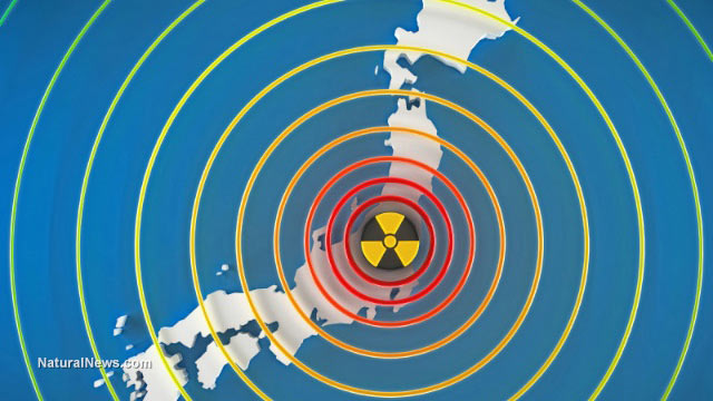 Image: Earthquake Rocks Japan By Fukushima 11/21/16, Tsunami ALERT (Video)