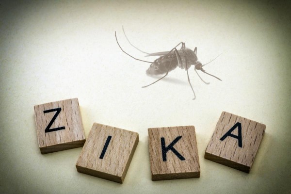 Image: 5 Secret Zika Facts That You Are Not Being Told (Video)