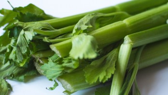 celery-1111590_960_720