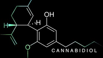 Cannabidiol