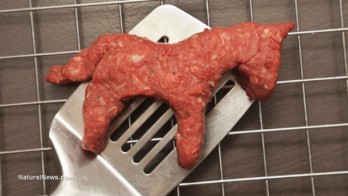 Horse-Meat-Burger-Spatula