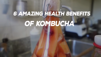 Kombucha Mushroom Mike Adams Health Ranger