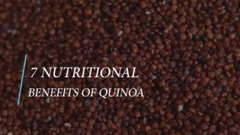 Quinoa