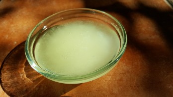 coconut-oil-1469339_960_720