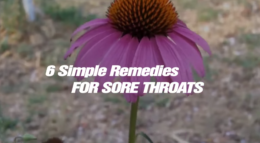 Image: 6 Simple Remedies for Sore Throats (Video)