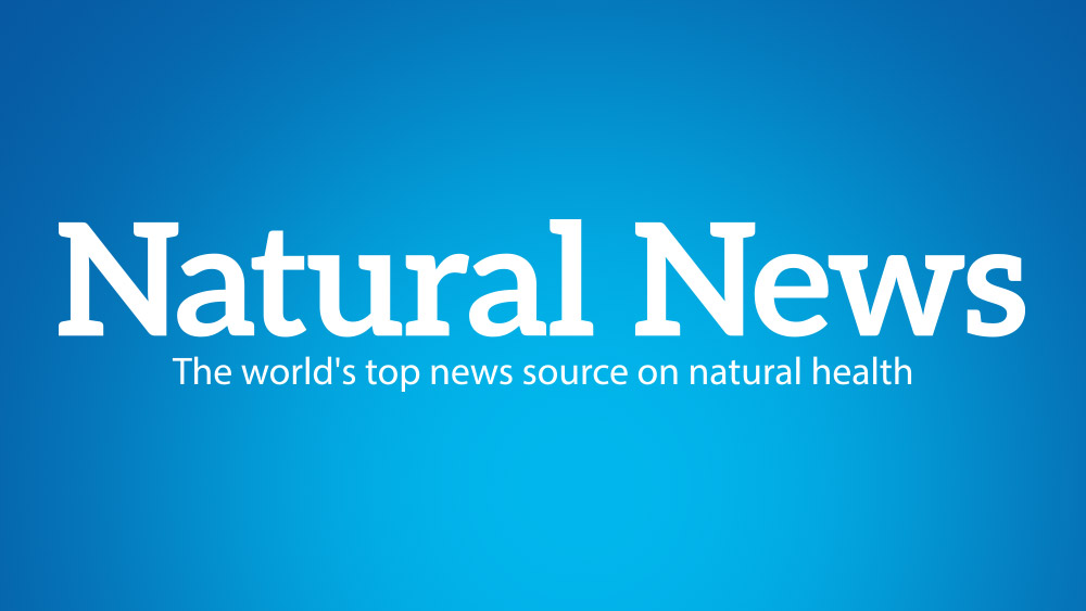 Image: The Robert Scott Bell Show: Natural News vs Google (Video)