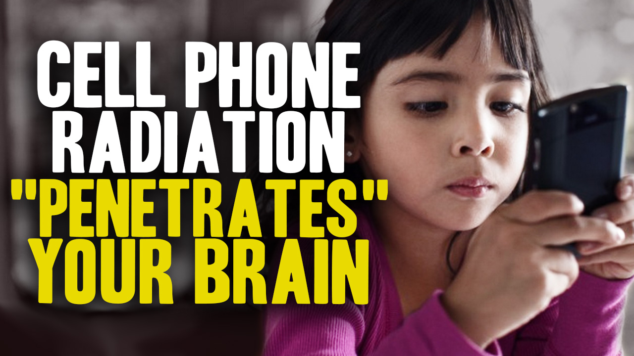 Image: Cell Phone Radiation Penetrates Children’s Brains (Video)
