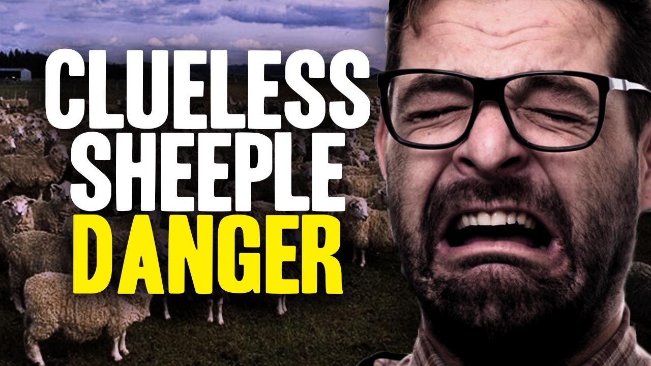 Image: Clueless Sheeple Are a Danger to You (Video)