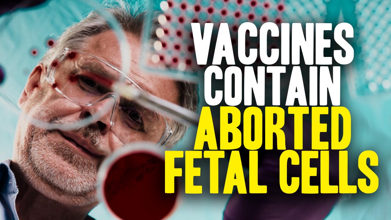 Image: CDC Admits Vaccines Contain Aborted Human Fetal Cells (Video)