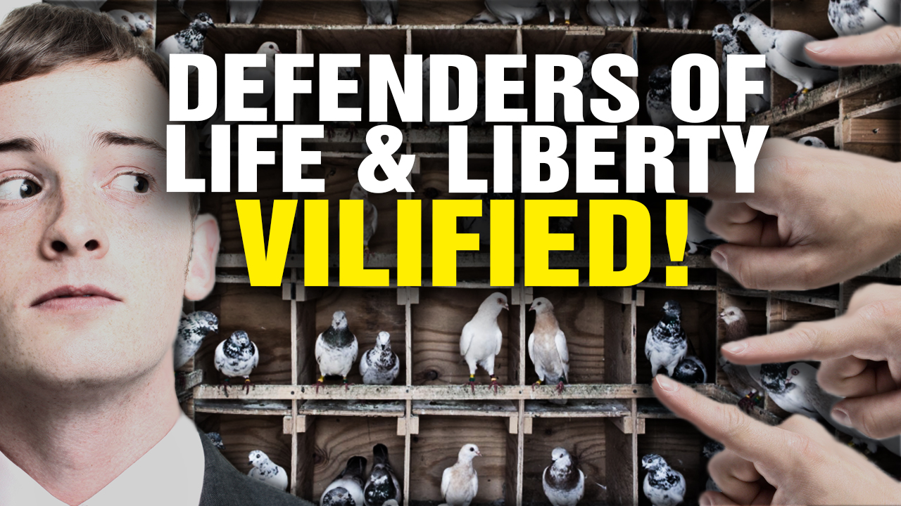 Image: Defenders of LIFE and LIBERTY Are VILIFIED in Our Twisted Society (Video)