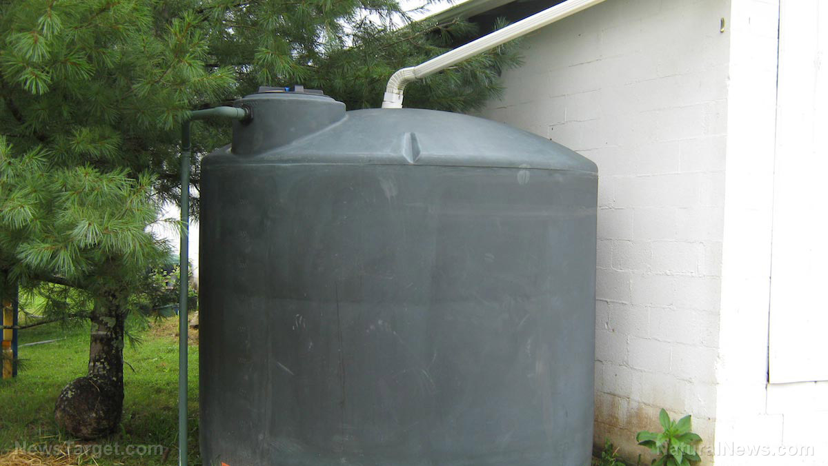 Image: Arizona Prepper Explains Everything About His Rainwater Collection System (Video)