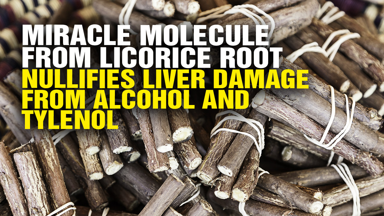 Image: Miracle Molecule from Licorice Root Nullifies Liver Damage from Alcohol and Tylenol (Video)