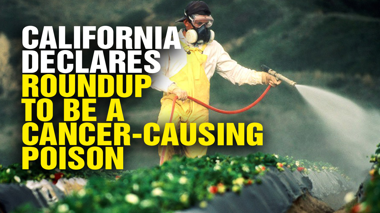 Image: California Declares Glyphosate Weed Killer (Roundup) to Be a Cancer-Causing Poison (Video)