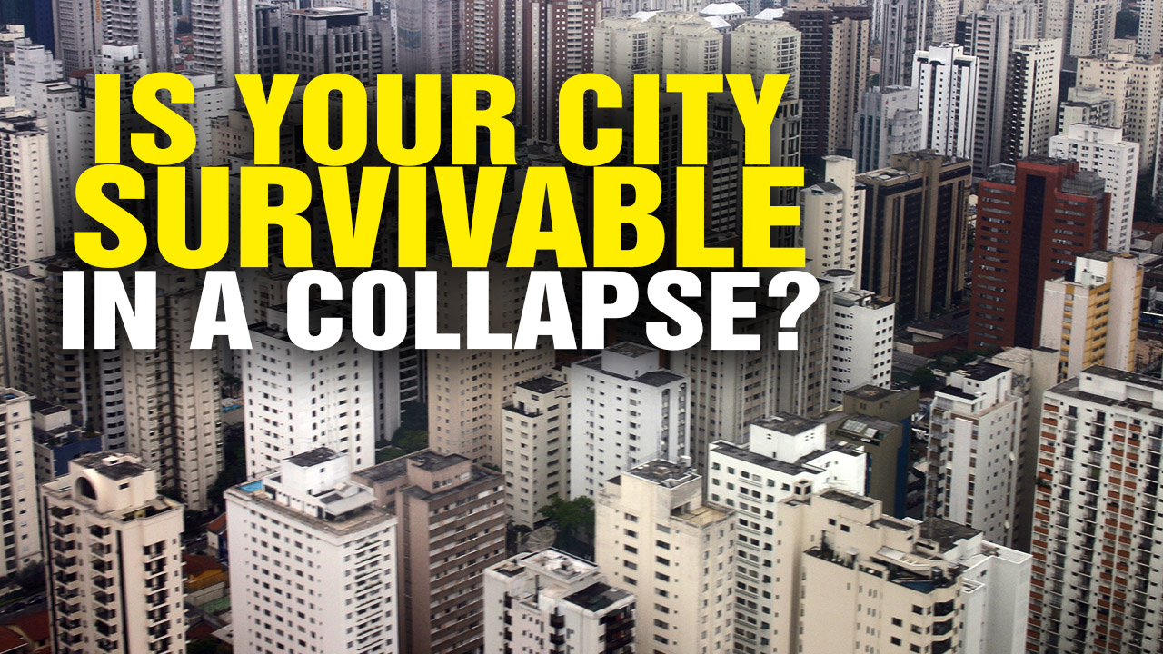 Image: Is Your City SURVIVABLE in a Catastrophic Emergency? (Video)