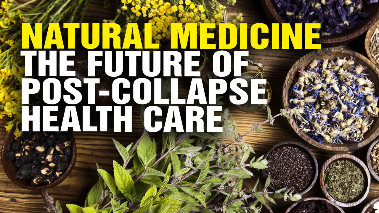 Image: Why Natural Medicine Will SURGE After the Coming Collapse (Podcast)