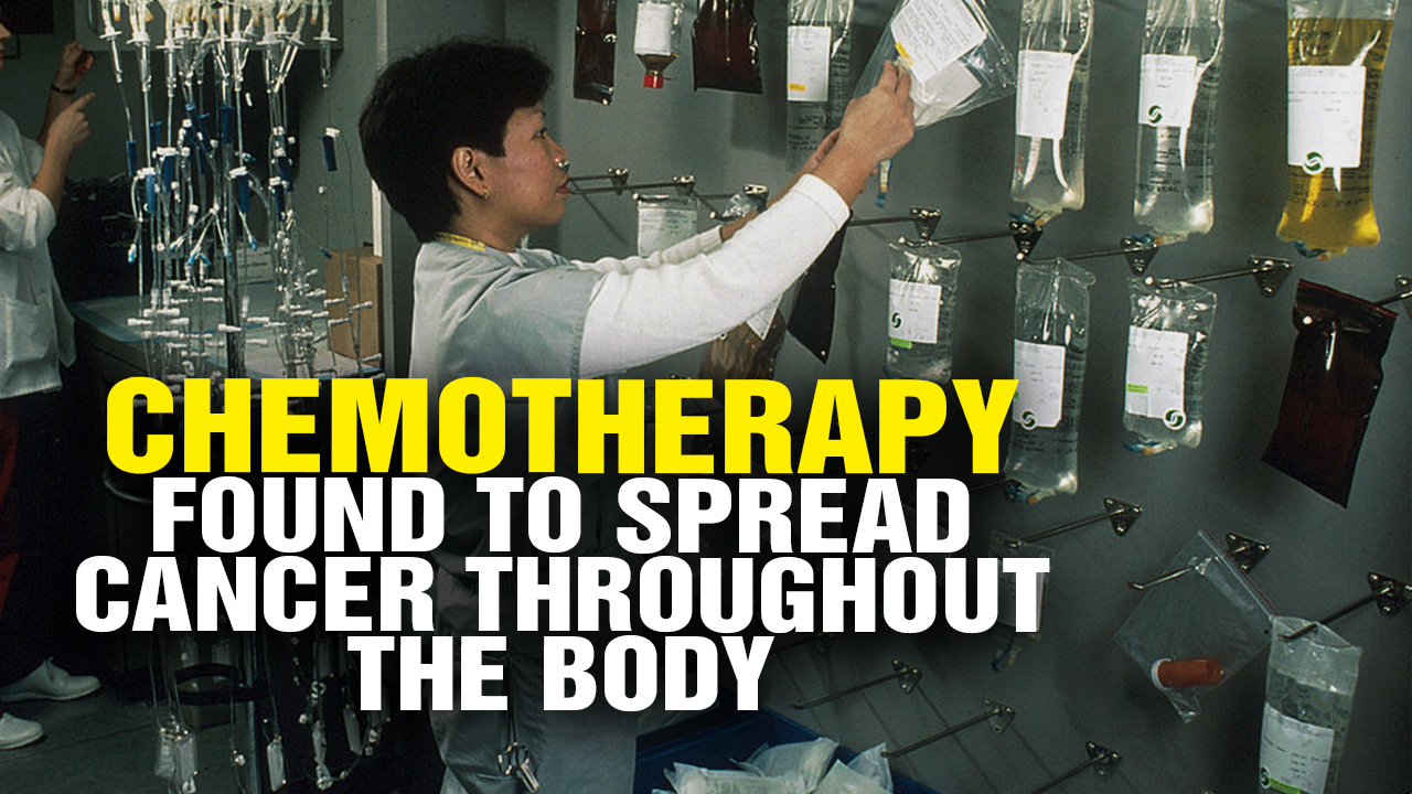 Image: Chemotherapy Found to SPREAD Cancer Throughout the Body, Warn Scientists (Video)