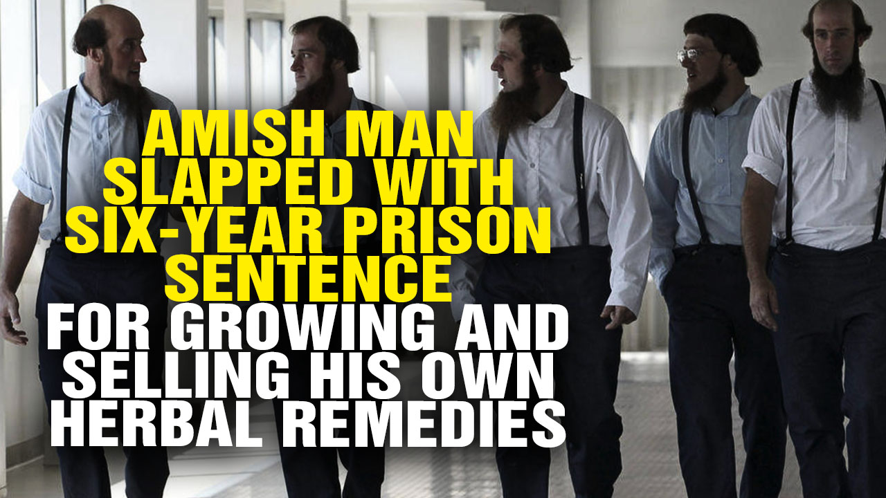 Image: Amish Man Slapped with Six-Year Prison Sentence for Growing and Selling His Own Herbal Remedies (Video)