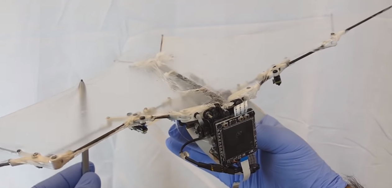 Image: Bat-Bots: New Autonomous Flying Machine Flies Like a Bat (Video)