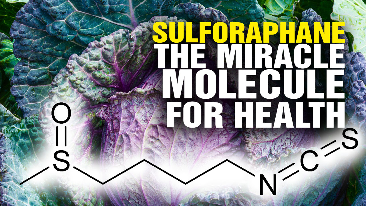 Image: The Miracle Molecule SULFORAPHANE Can Protect Your Health (Video)