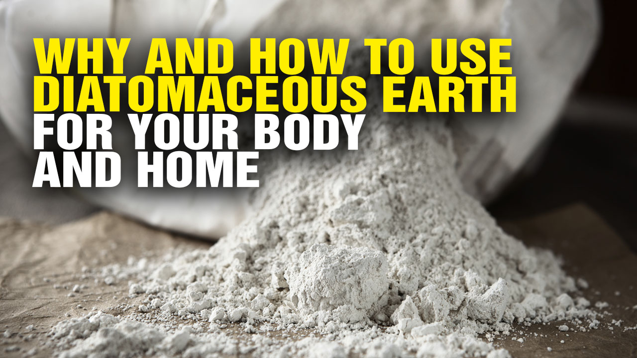 Image: Why and How to Use Diatomaceous Earth for Your Body and Home (Video)