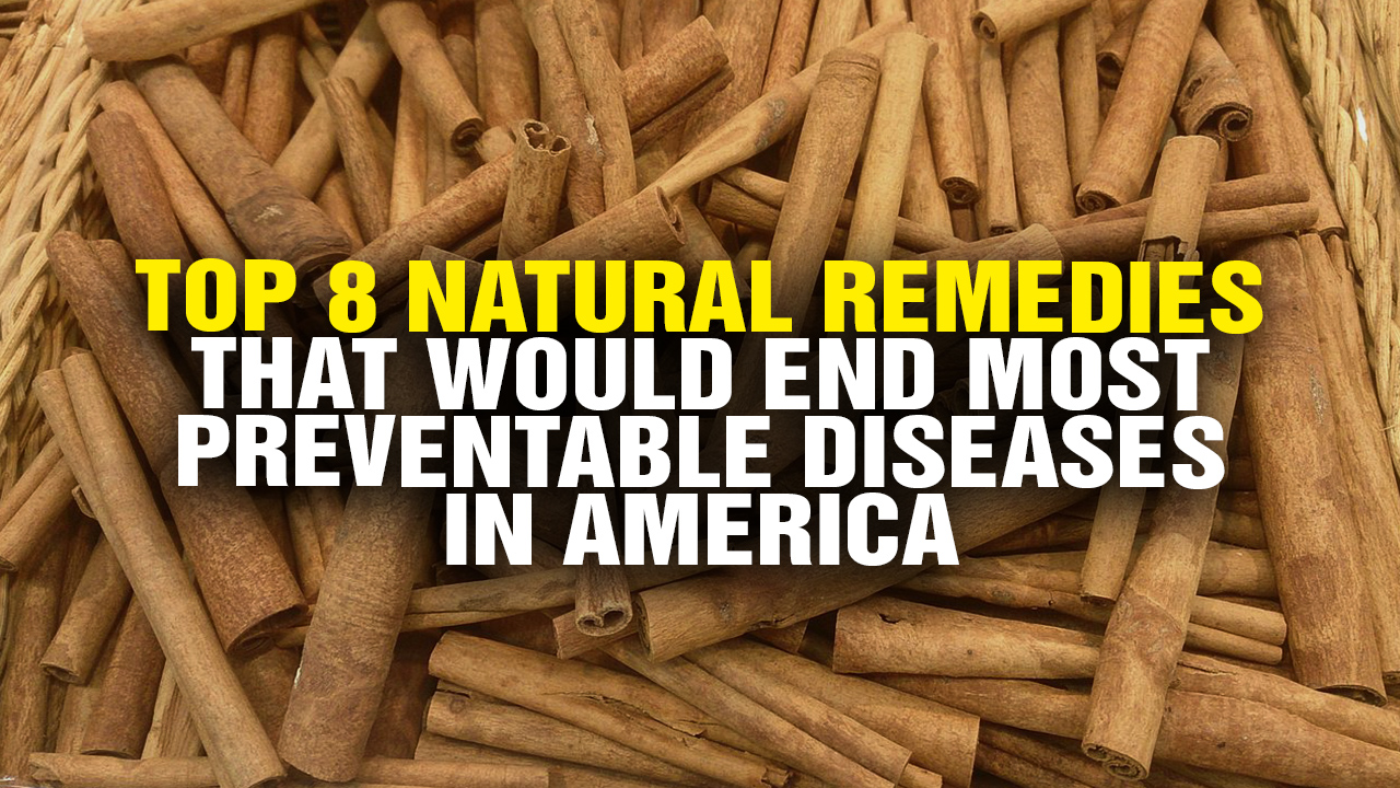 Image: Top 8 Natural Remedies That Would End Most Preventable Diseases in America (Video)