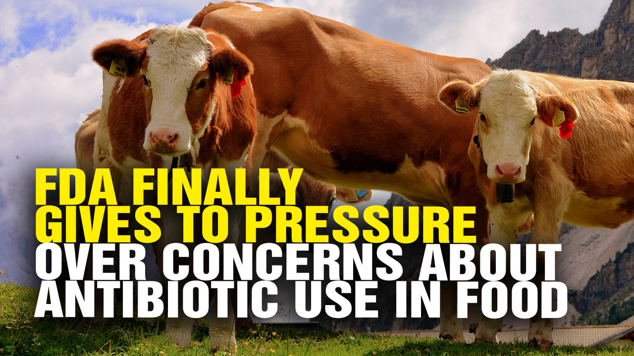 Image: FDA Finally Gives in to Pressure from Consumers over Concerns About Antibiotic Use in Food (Video)