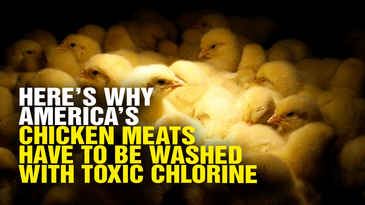 Image: Here’s Why America’s Chicken Meats Have to Be Washed with Toxic Chlorine (Video)