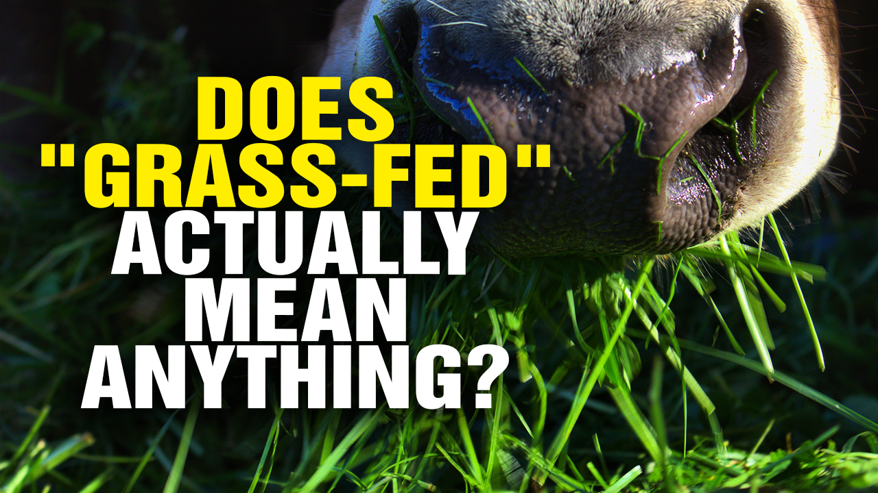 Image: Does GRASS-FED Actually Mean Anything? (Video)