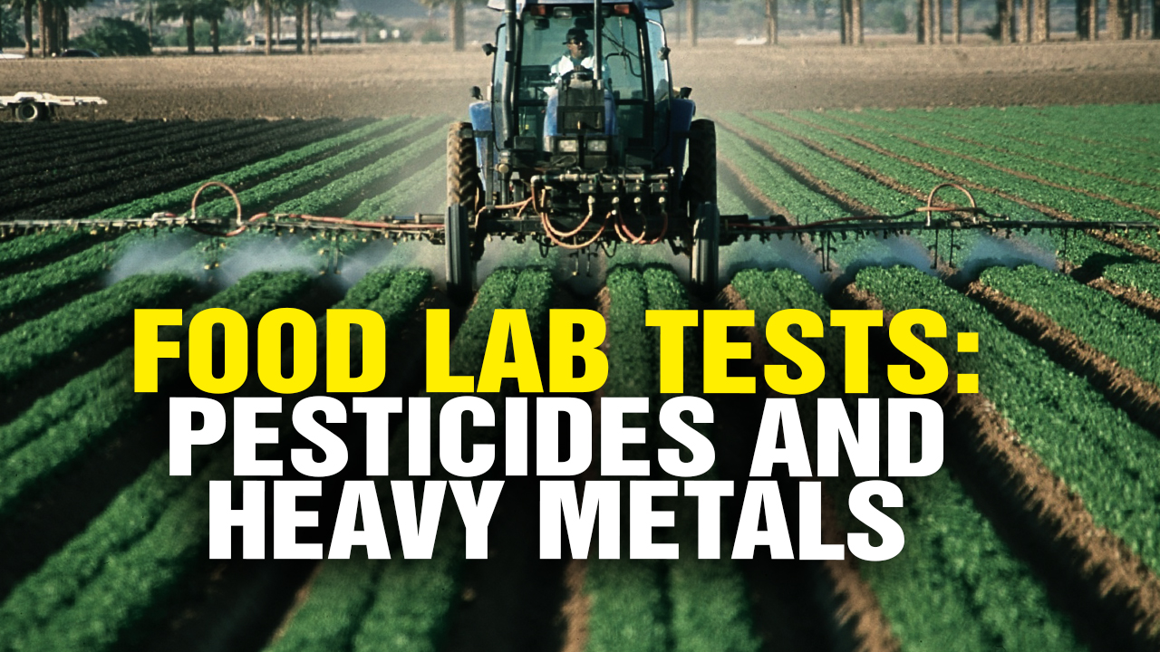 Image: Health Ranger Tests Off-The-Shelf Foods for Pesticides and Heavy Metals (Video)