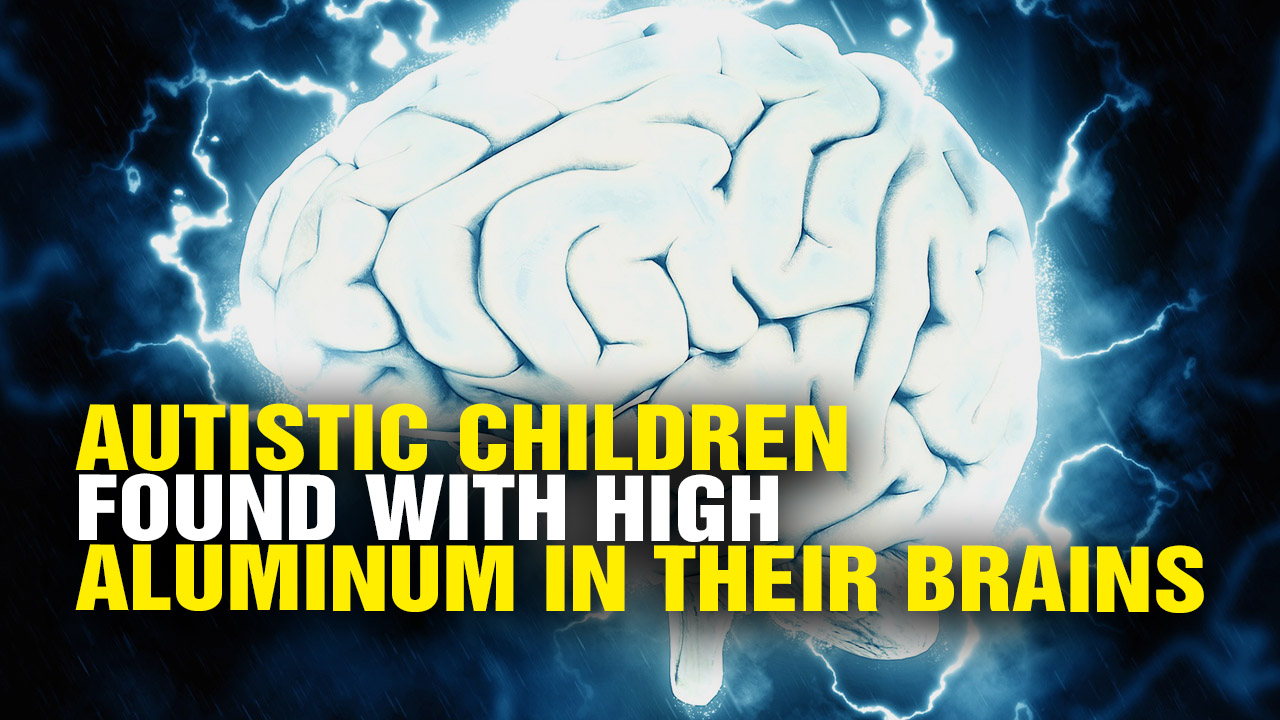 Image: AUTISTIC Children Found to Have High ALUMINUM in Their Brains (Video)