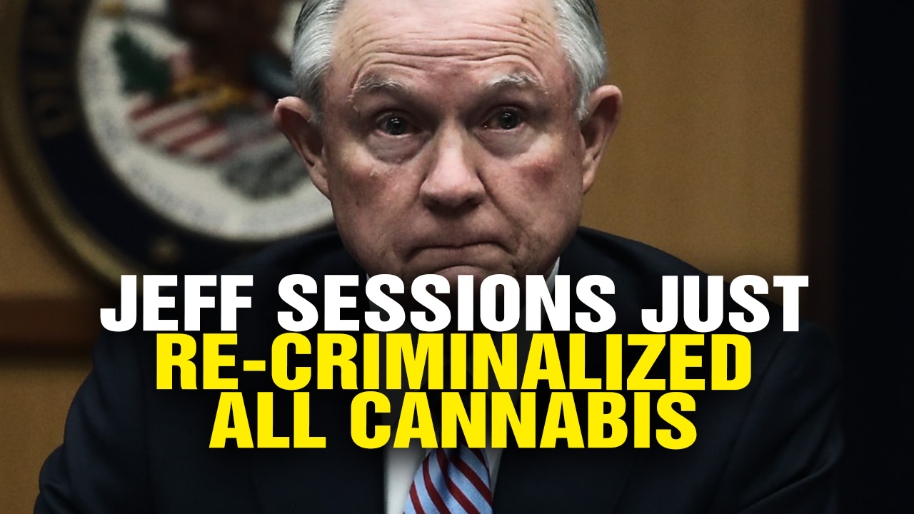 Image: Health Ranger Calls for Jeff Sessions’ RESIGNATION (Video)