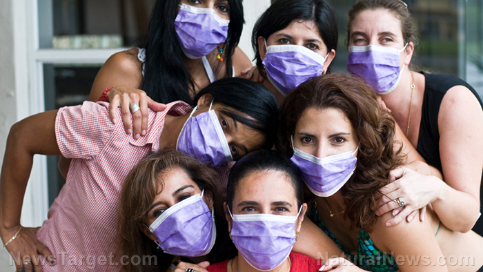 Image: The Flu: The Scary Truth the Media Wont Tell You (Video)