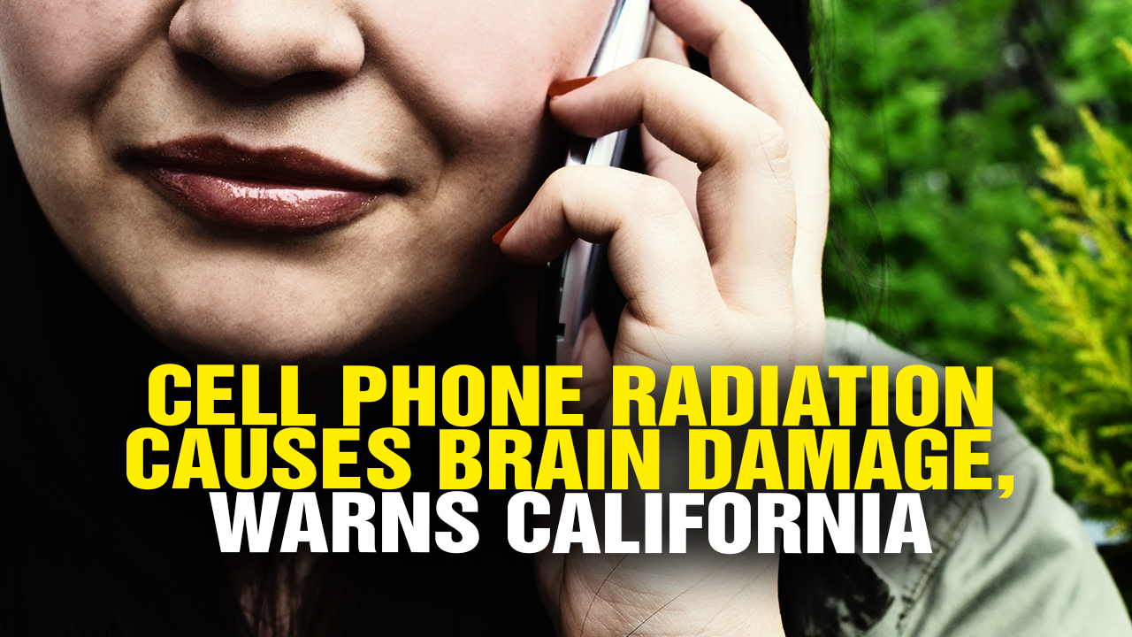 Image: CELL PHONE RADIATION Causes Bran Damage, Warns California (Video)