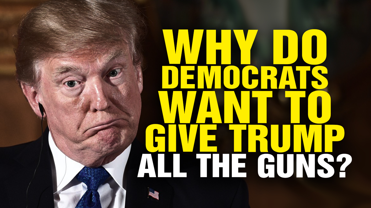 Image: Why Do Democrats Want to Give TRUMP All the GUNS? (Video)