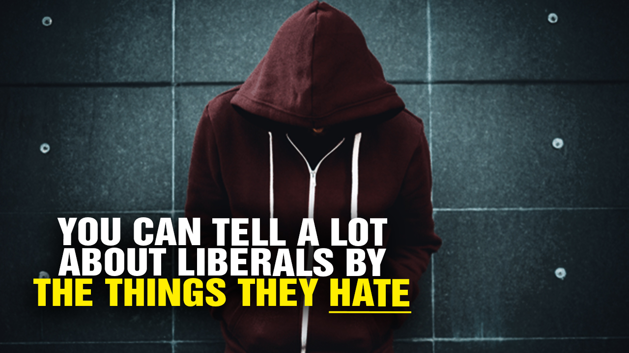 Image: You Can Tell a LOT About LIBERALS by the Things They HATE (Video)
