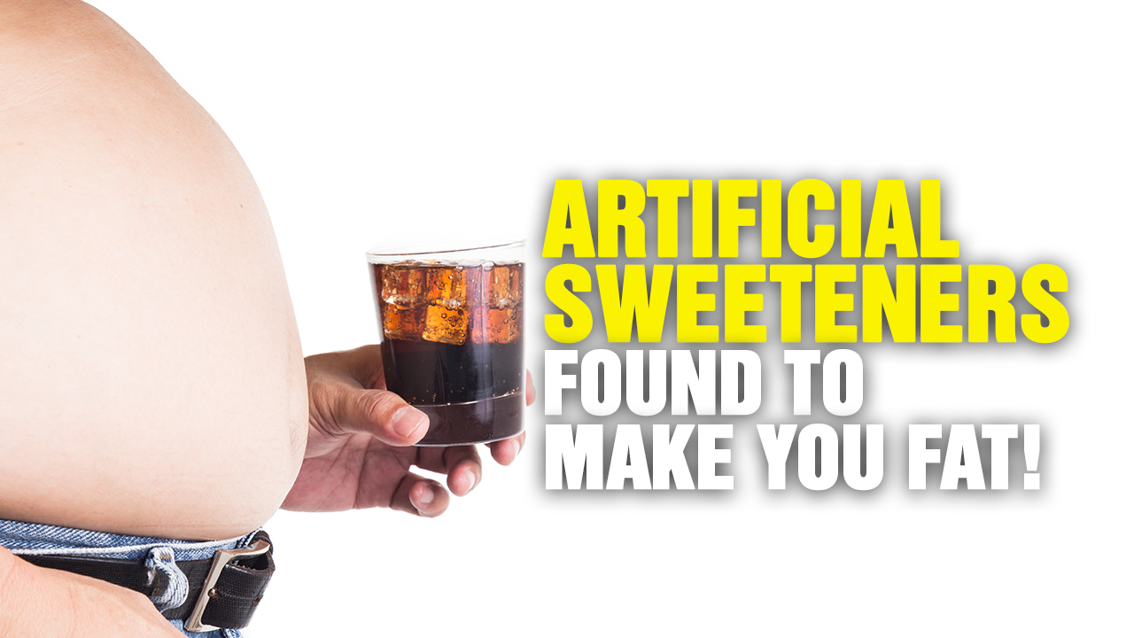 Image: Artificial Sweeteners MAKE YOU FAT! (Podcast)