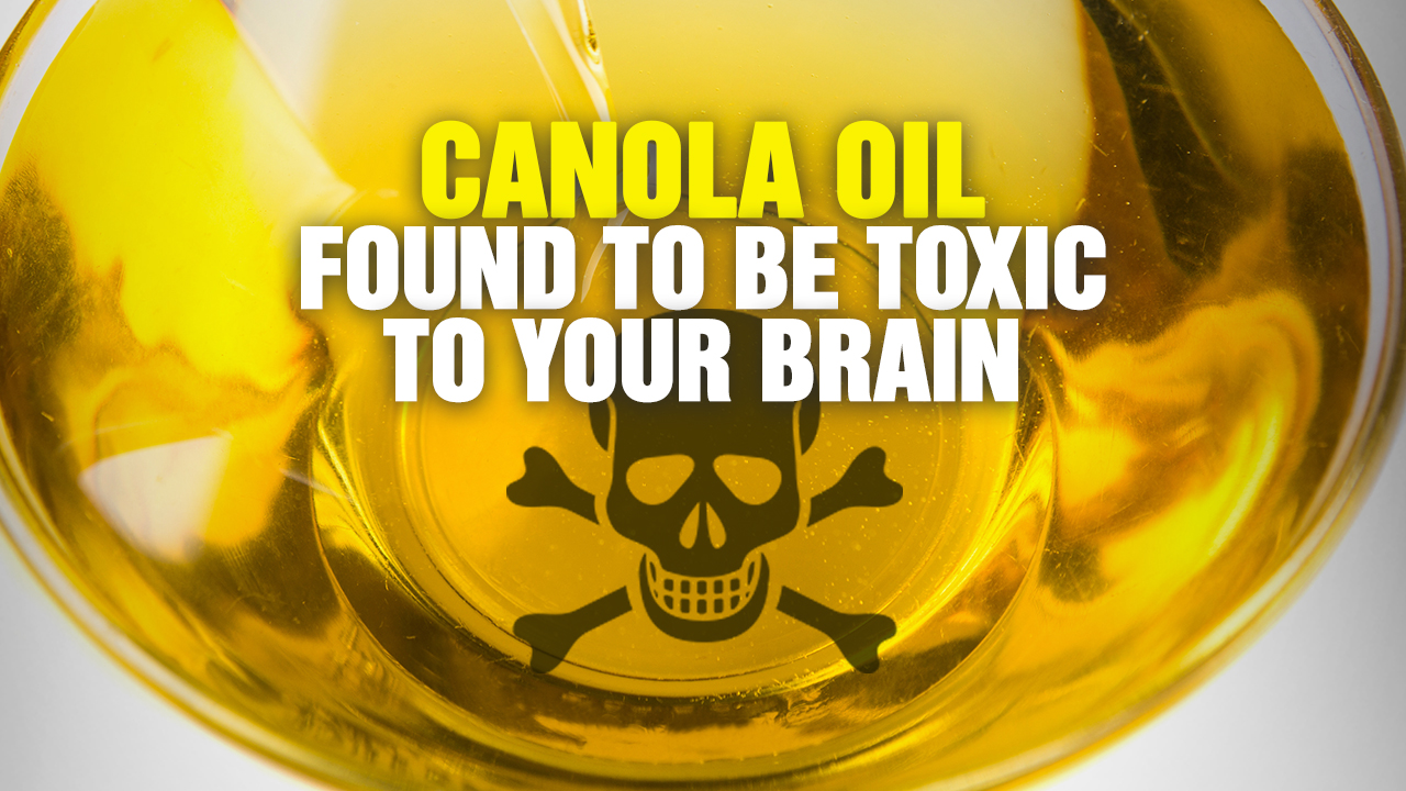 Image: Scientists Warn CANOLA OIL Is TOXIC to Your Brain! (Podcast)