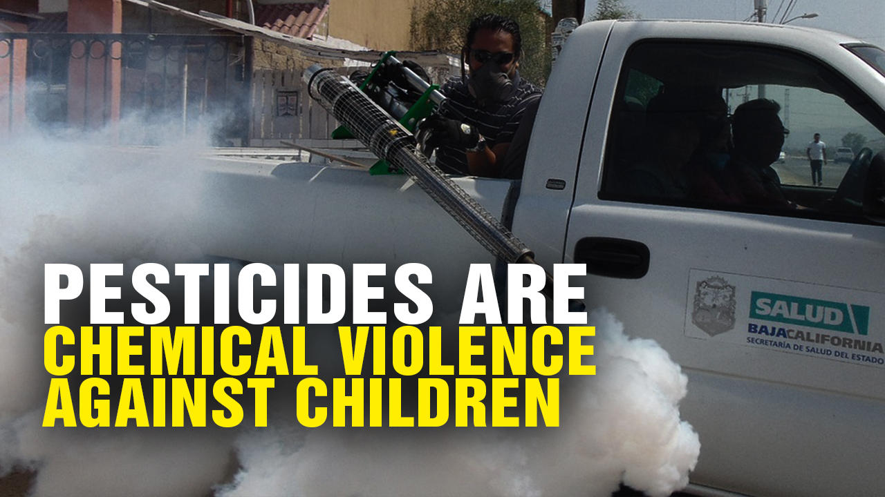 Image: Pesticides Are CHEMICAL VIOLENCE Against CHILDREN (Podcast)