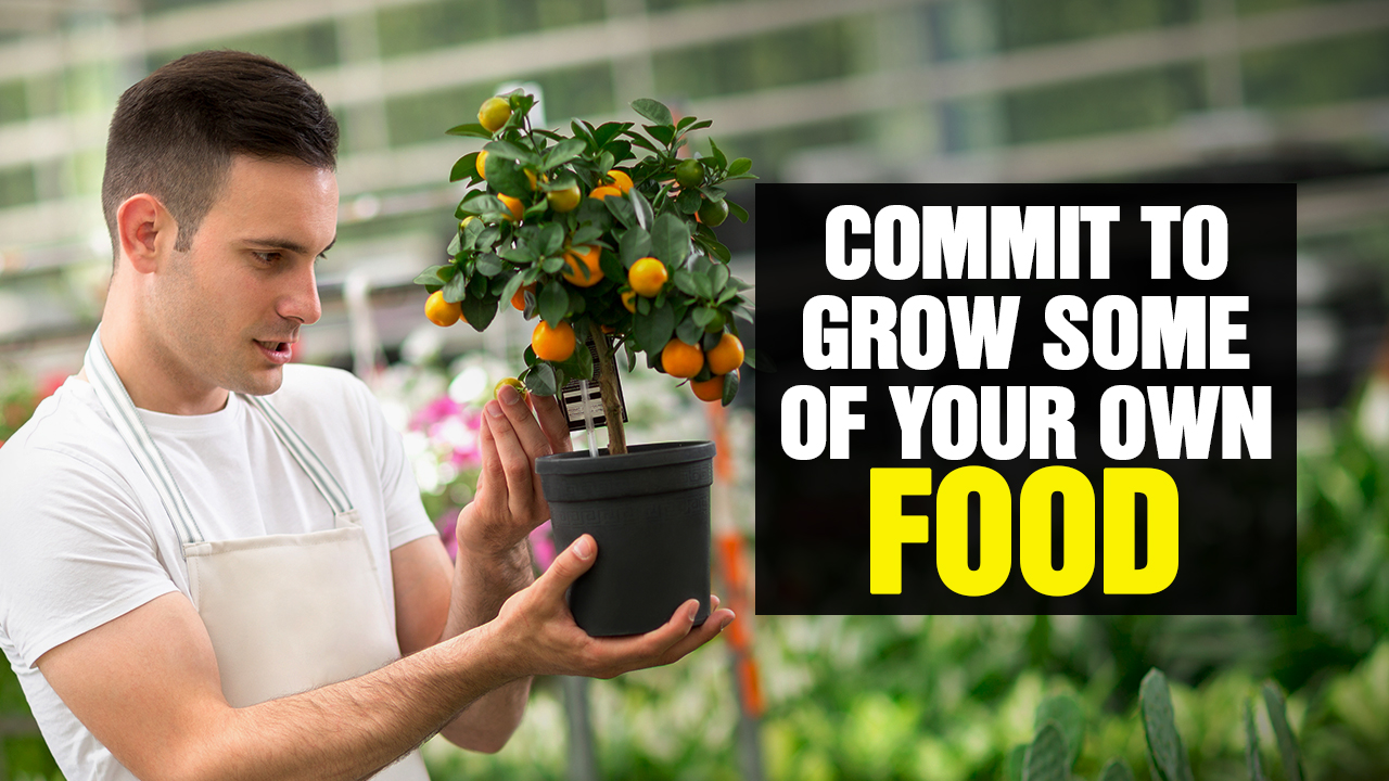Image: Commit to GROW at Least a Portion of Your Own FOOD (Video)