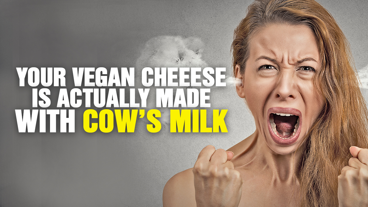 Image: Your “VEGAN” Cheese Is Made With Cow’s Milk (Podcast)