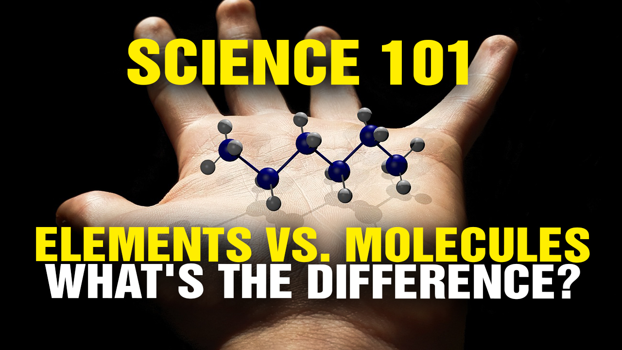 Image: ELEMENTS vs. MOLECULES: What’s the Difference? (Video)