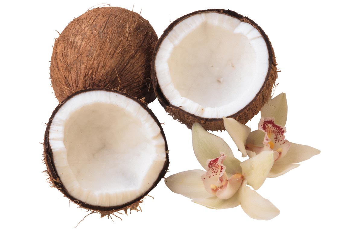 Image: The Cancer-Fighting Coconut Fruit Smoothie (Video)